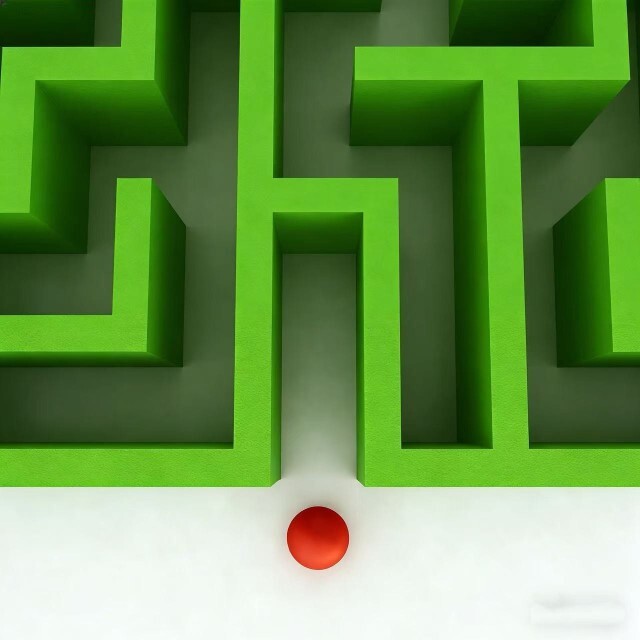 动物营救大行动