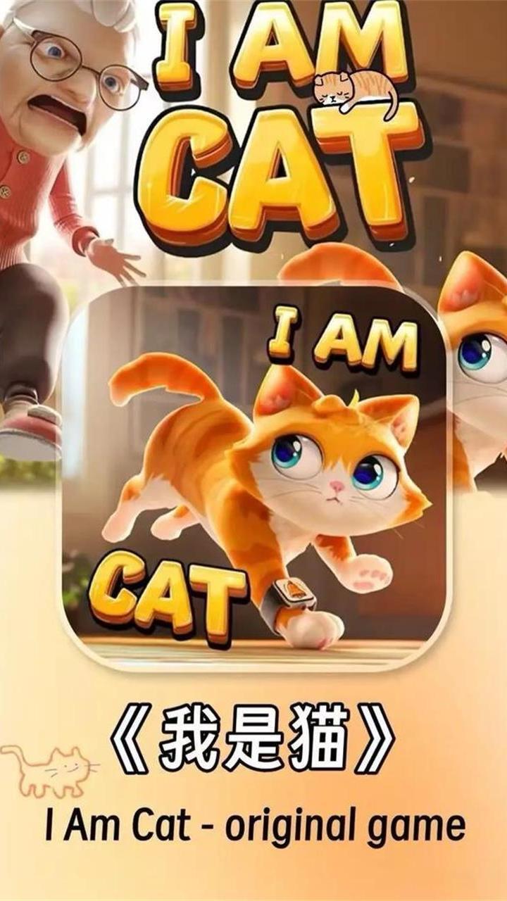 我是猫-感官漫游