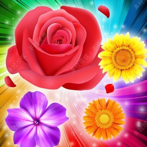 花了个花消消乐