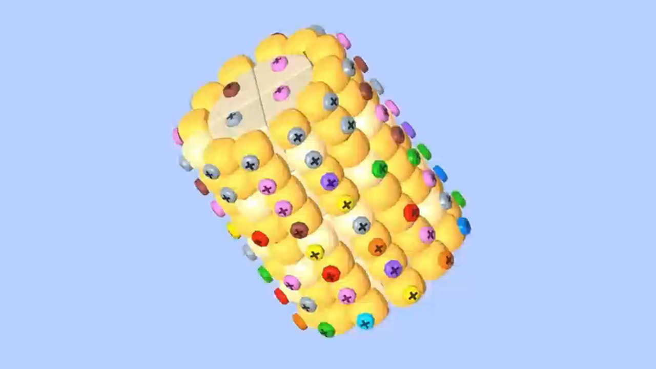 《剥个大玉米》游戏截图1