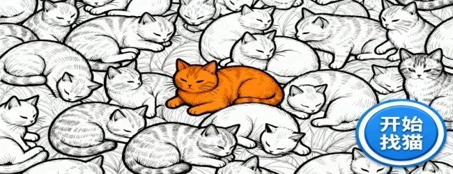 寻找100只猫猫