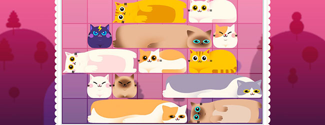 土耳其猫咪消除