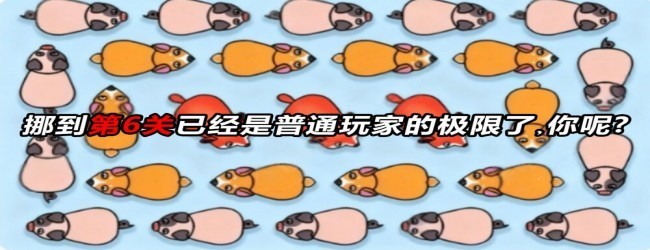 救了只猪2