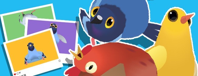 疯狂鸽子表情跳舞