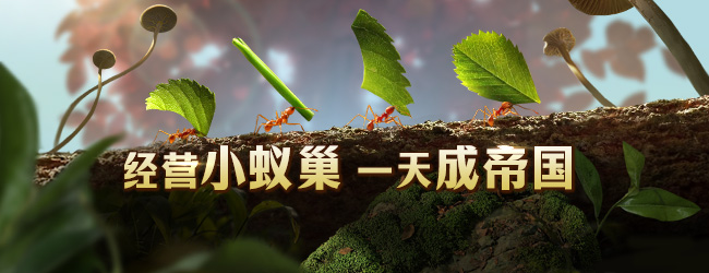 小小蚁国
