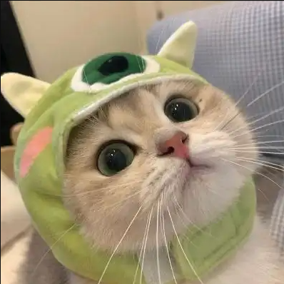 猫了个咪消消乐