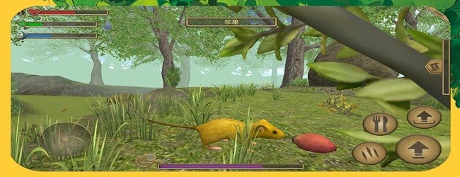 小老鼠的探险日记