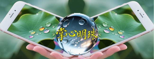 掌心明珠