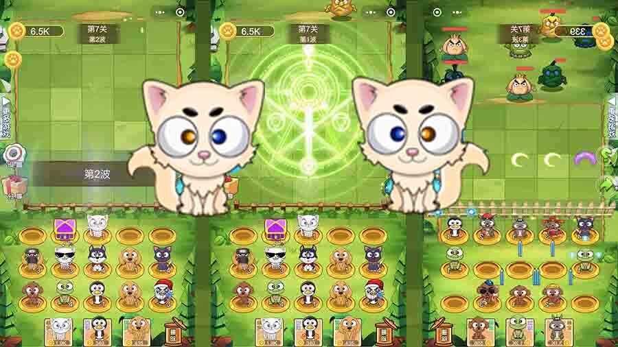 小动物爱合成之星