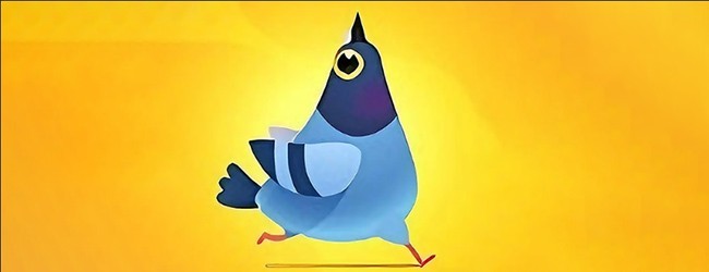 疯狂的鸽子挑战