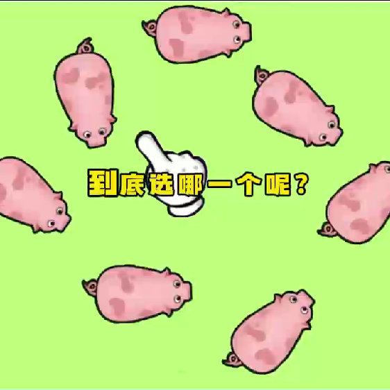 天天跑跑跑