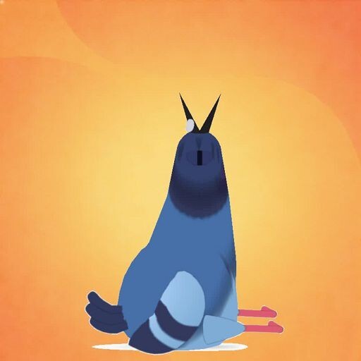 疯狂的鸽子官方