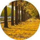 回家快乐66666666666