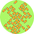 乐布布轻松消除