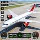 模拟驾驶飞机飞行