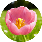 你有实力通过么