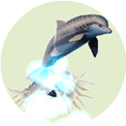 海鱼融合大作战