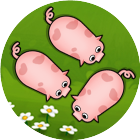 救救这只猪队友