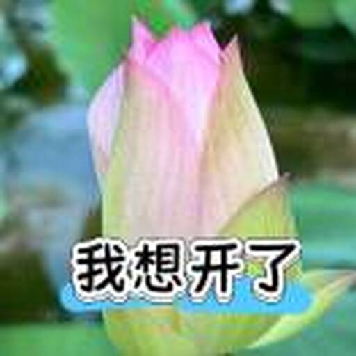 玩游戏的宝子