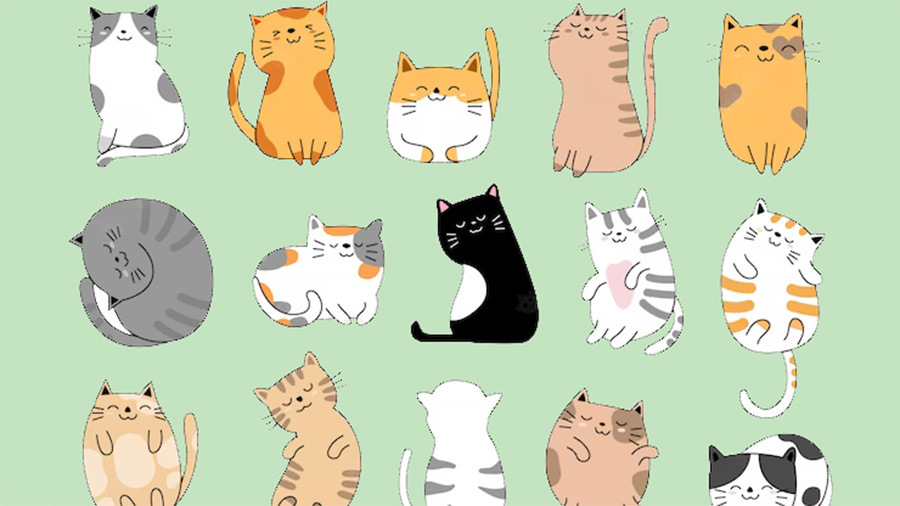 《猫咪泡泡消除》游戏截图3