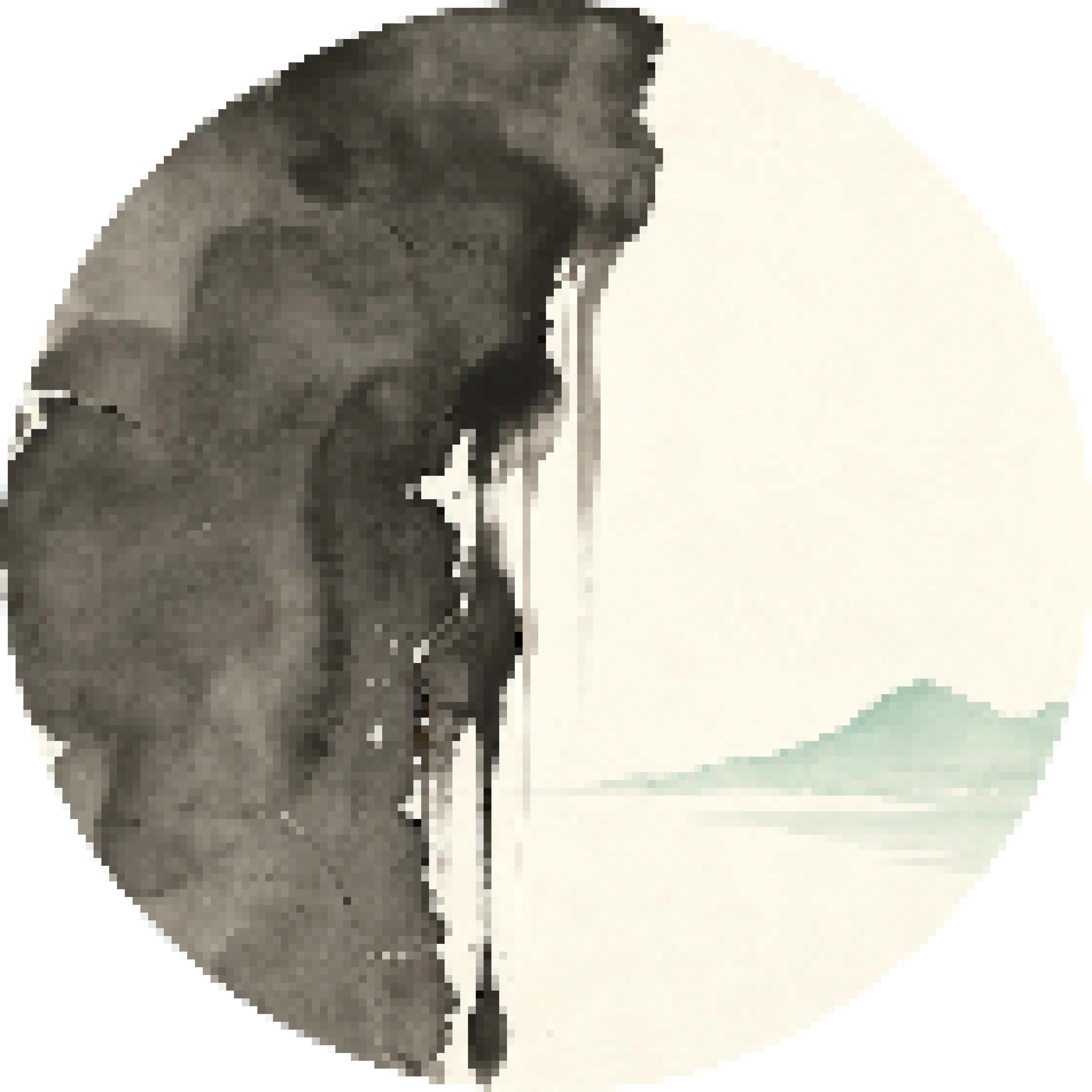 迷雾洗画